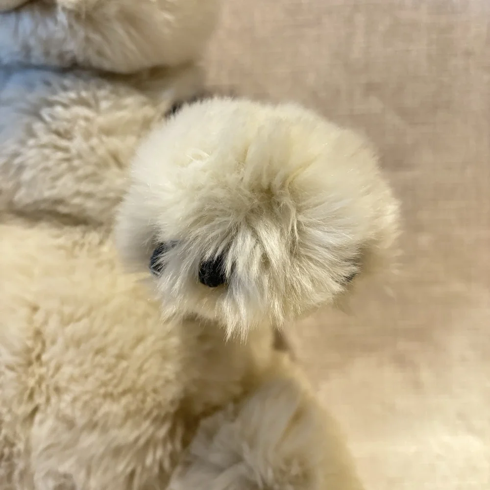 Gund 19